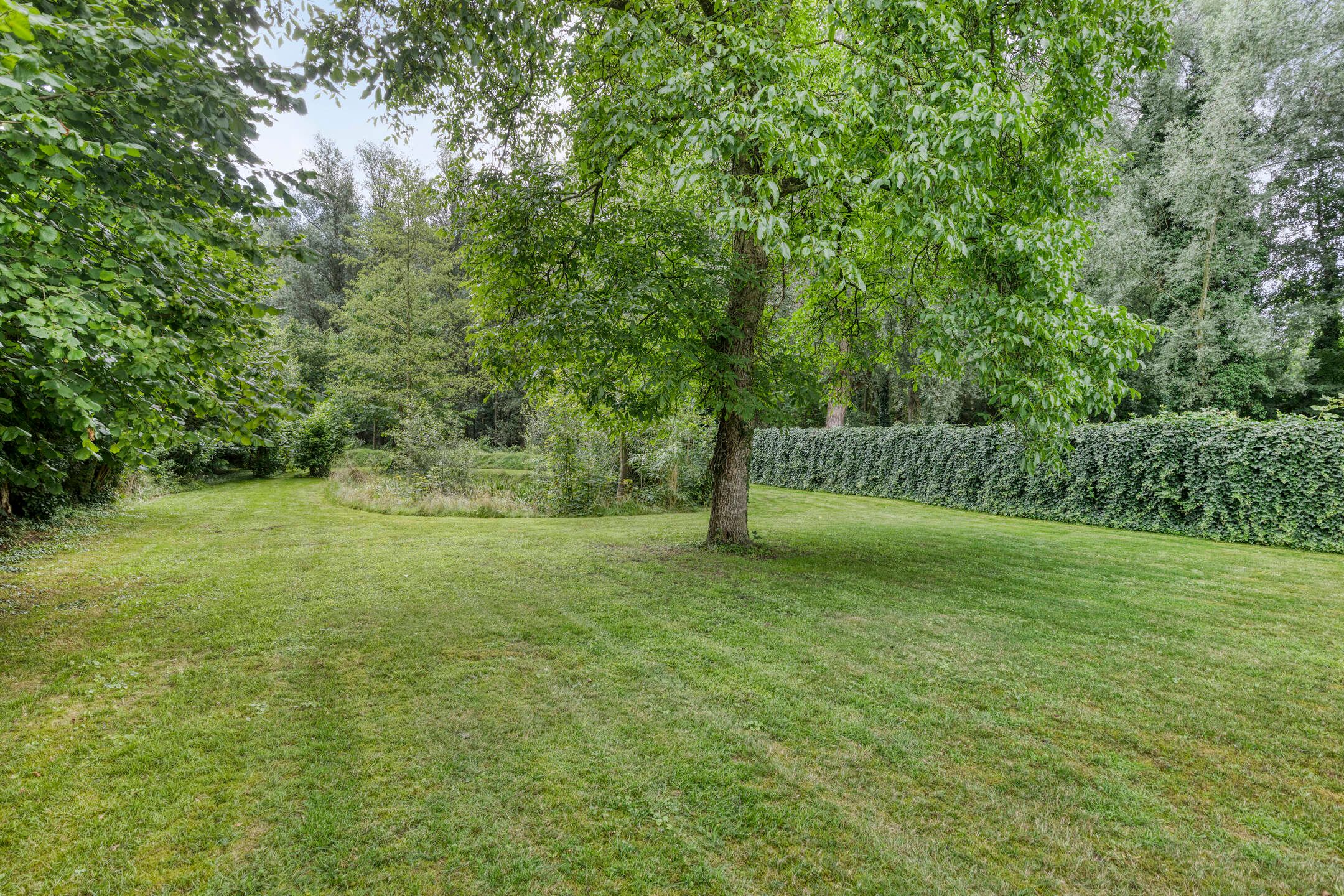 Photo 69 of Gronausestraat 473