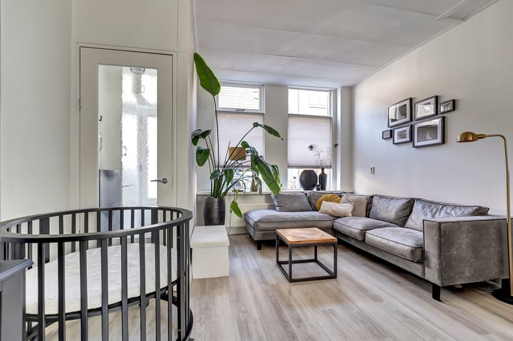 Foto 2 van P.C. Bothstraat 68