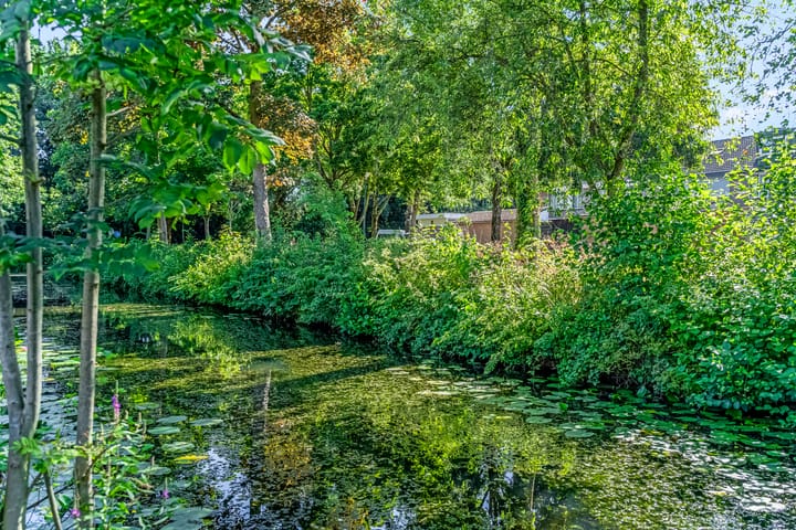 Foto 33 van Klipper 43