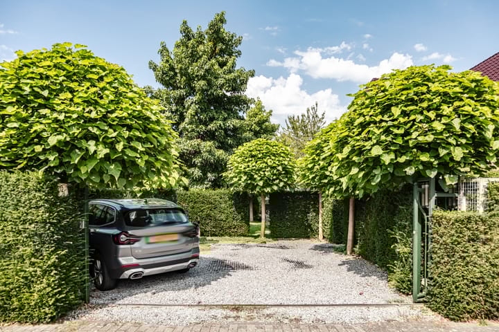 Foto 5 van Citadel 12