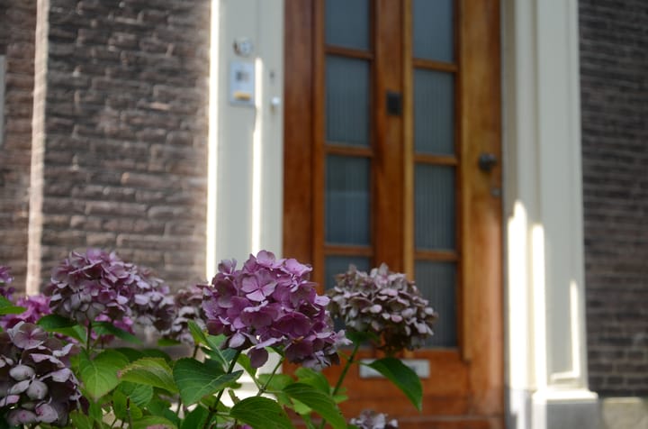 Foto 7 van Grotestraat 13