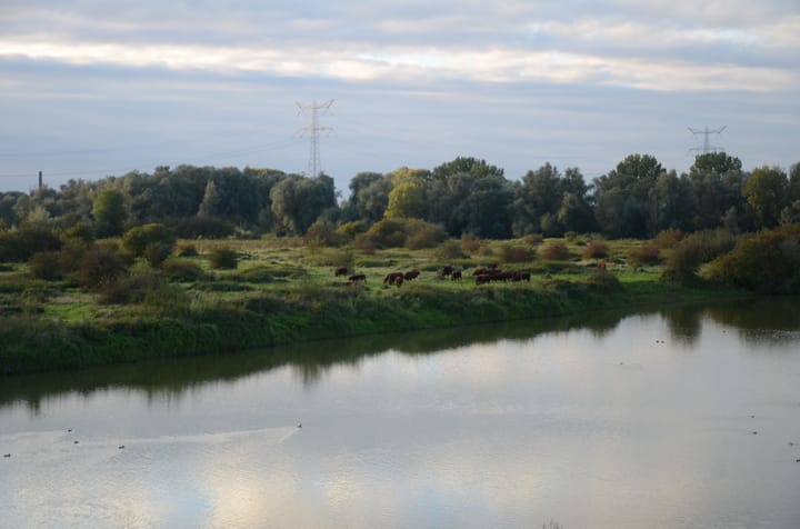 Foto 43 van Grotestraat 13