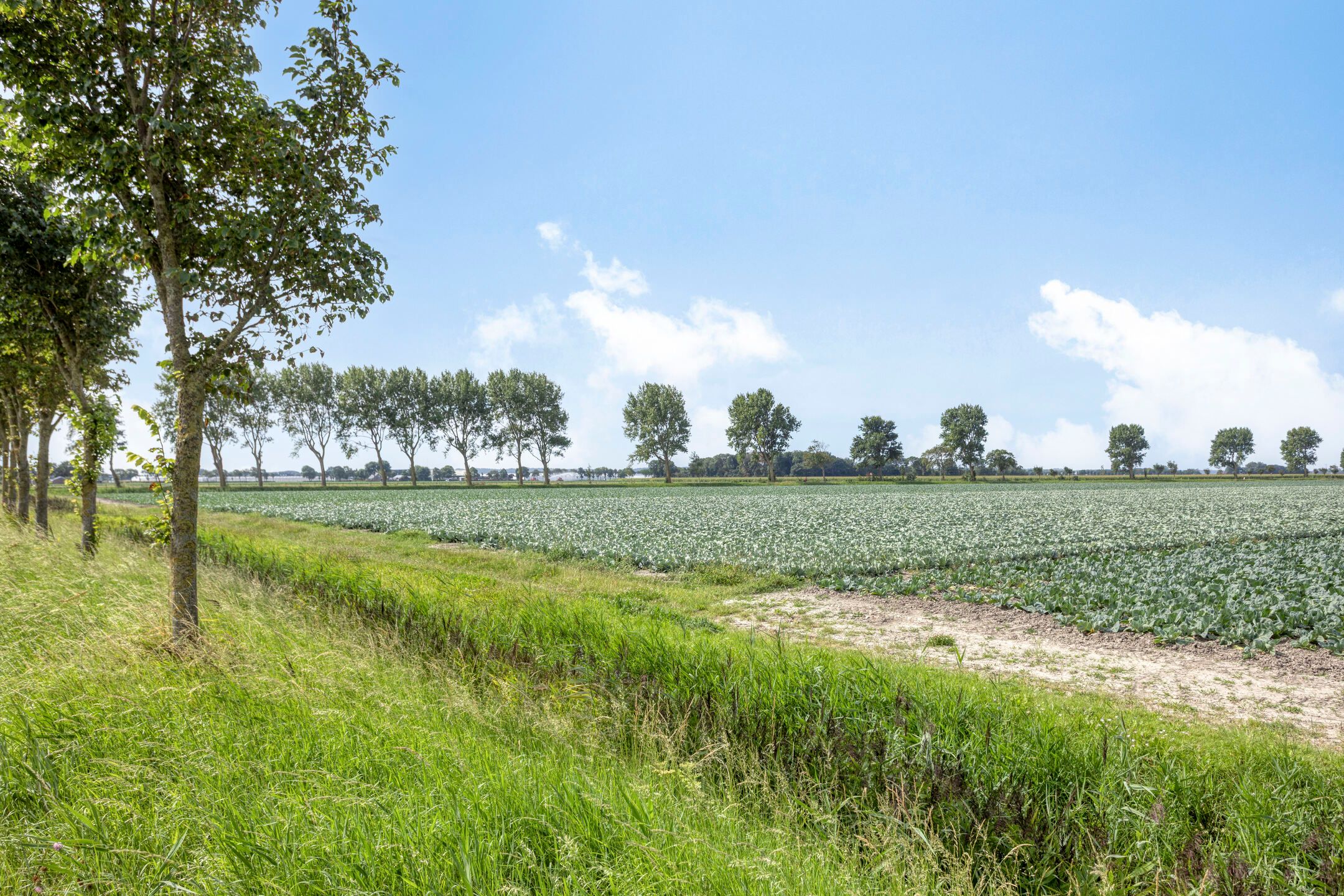 Foto 36 van Dorpsstraat 119-B