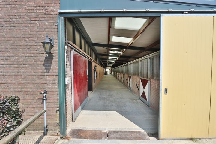 Foto 12 van Klein Amerika 1