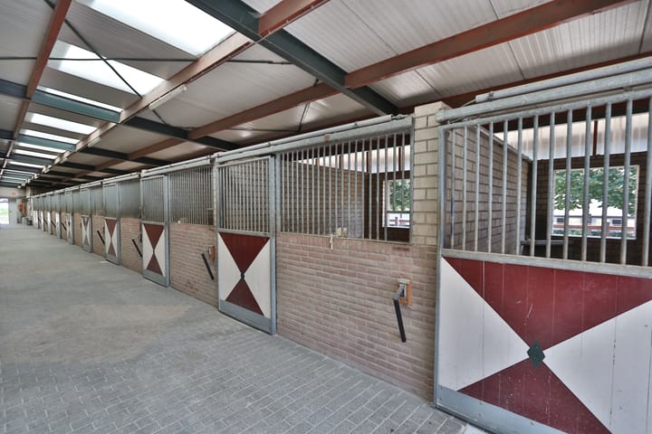 Foto 13 van Klein Amerika 1