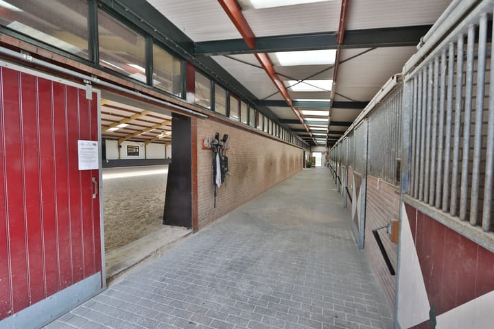 Foto 14 van Klein Amerika 1