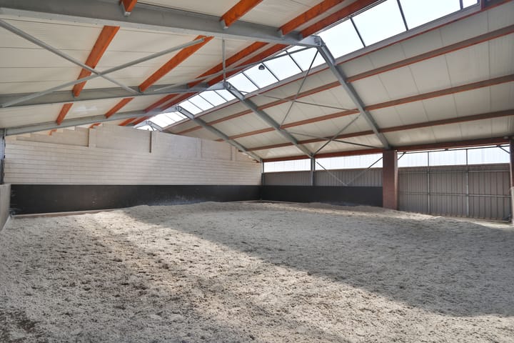 Foto 16 van Klein Amerika 1