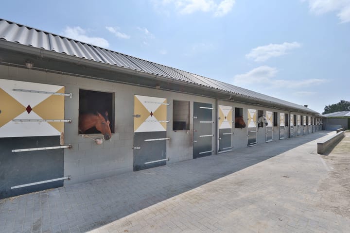 Foto 19 van Klein Amerika 1