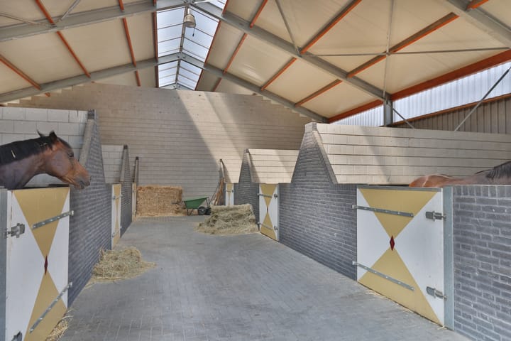 Foto 22 van Klein Amerika 1