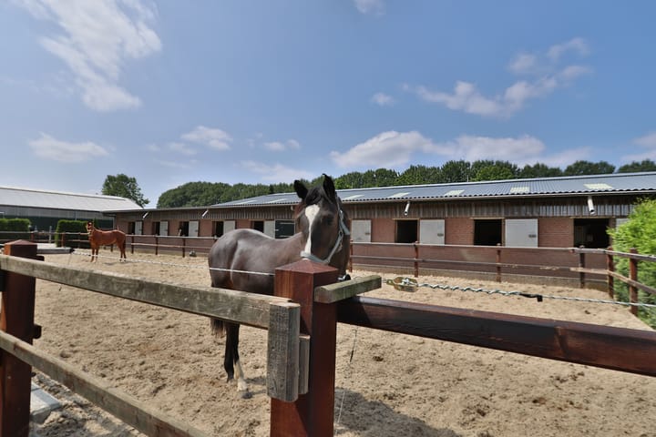 Foto 23 van Klein Amerika 1