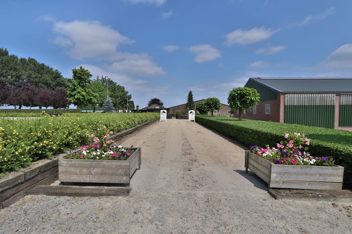 Foto 26 van Klein Amerika 1