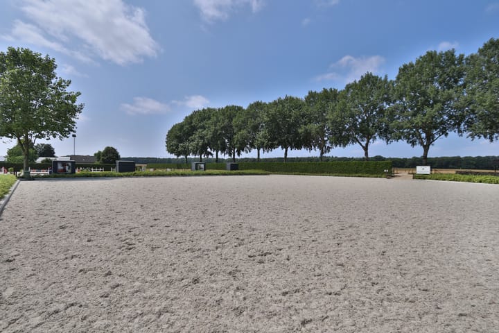 Foto 30 van Klein Amerika 1