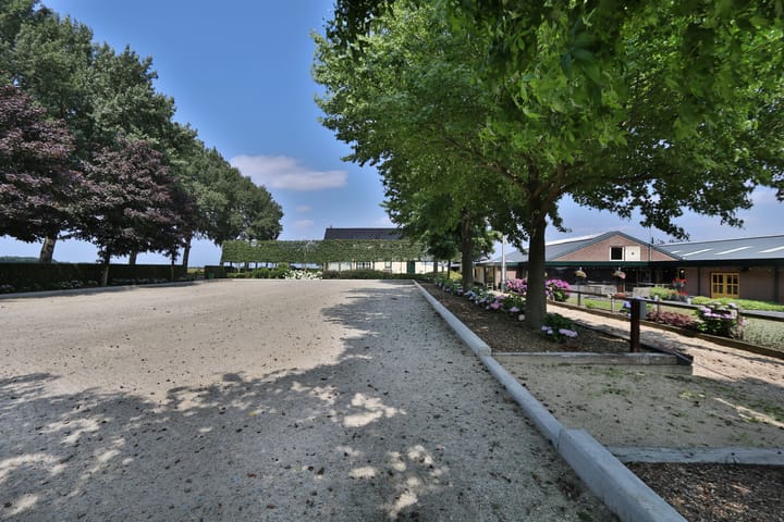 Foto 42 van Klein Amerika 1