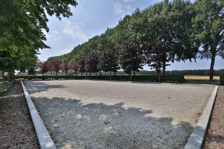 Foto 43 van Klein Amerika 1