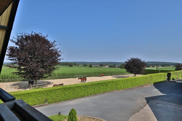 Foto 72 van Klein Amerika 1