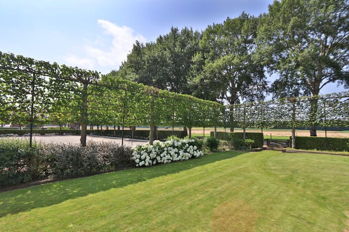 Foto 78 van Klein Amerika 1