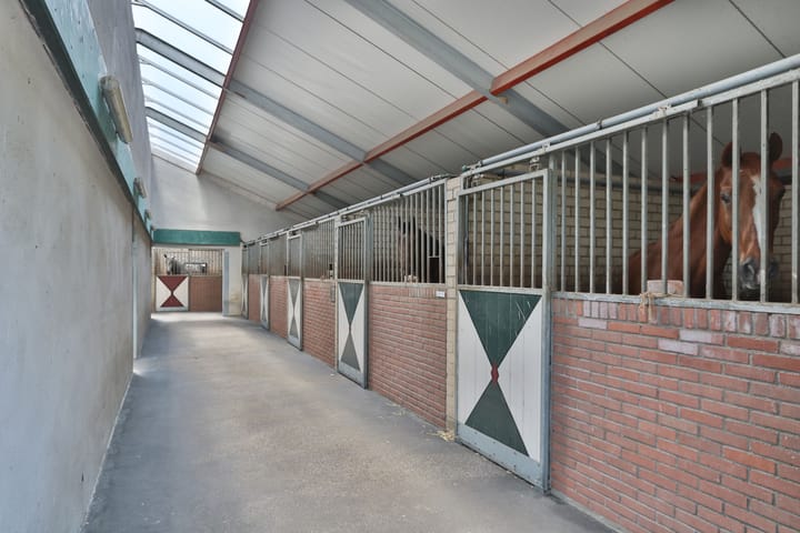 Foto 83 van Klein Amerika 1