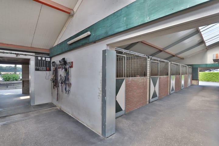 Foto 84 van Klein Amerika 1