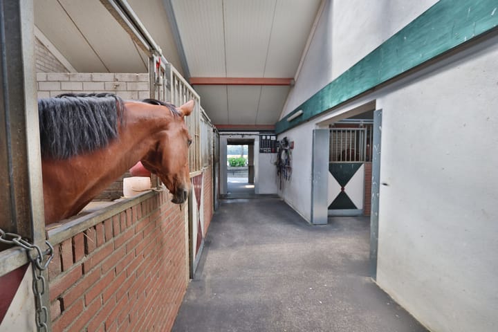 Foto 85 van Klein Amerika 1