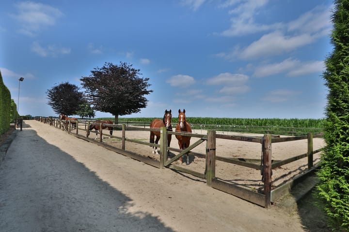 Foto 90 van Klein Amerika 1