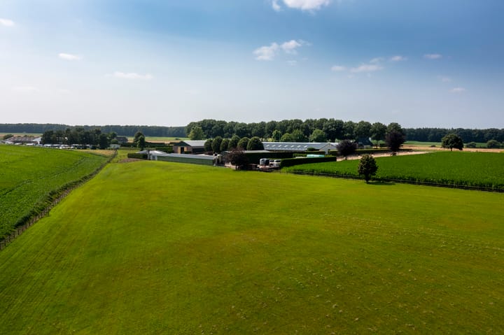 Foto 93 van Klein Amerika 1