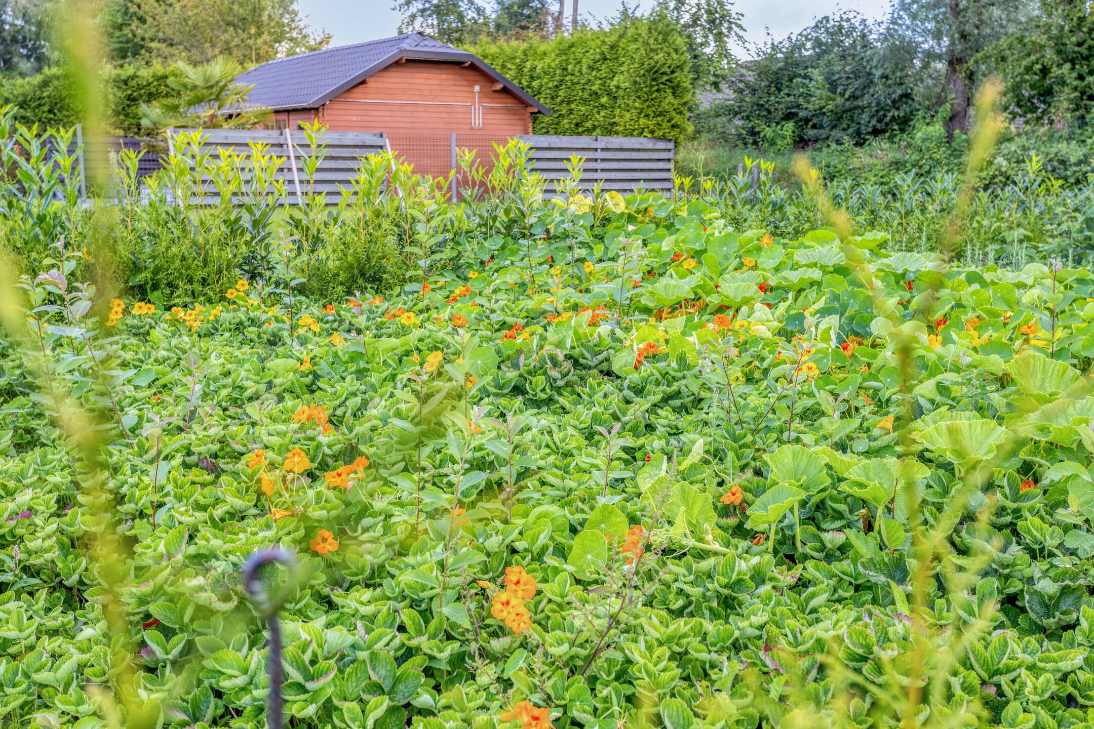 Foto 42 van Klinkerweg 87