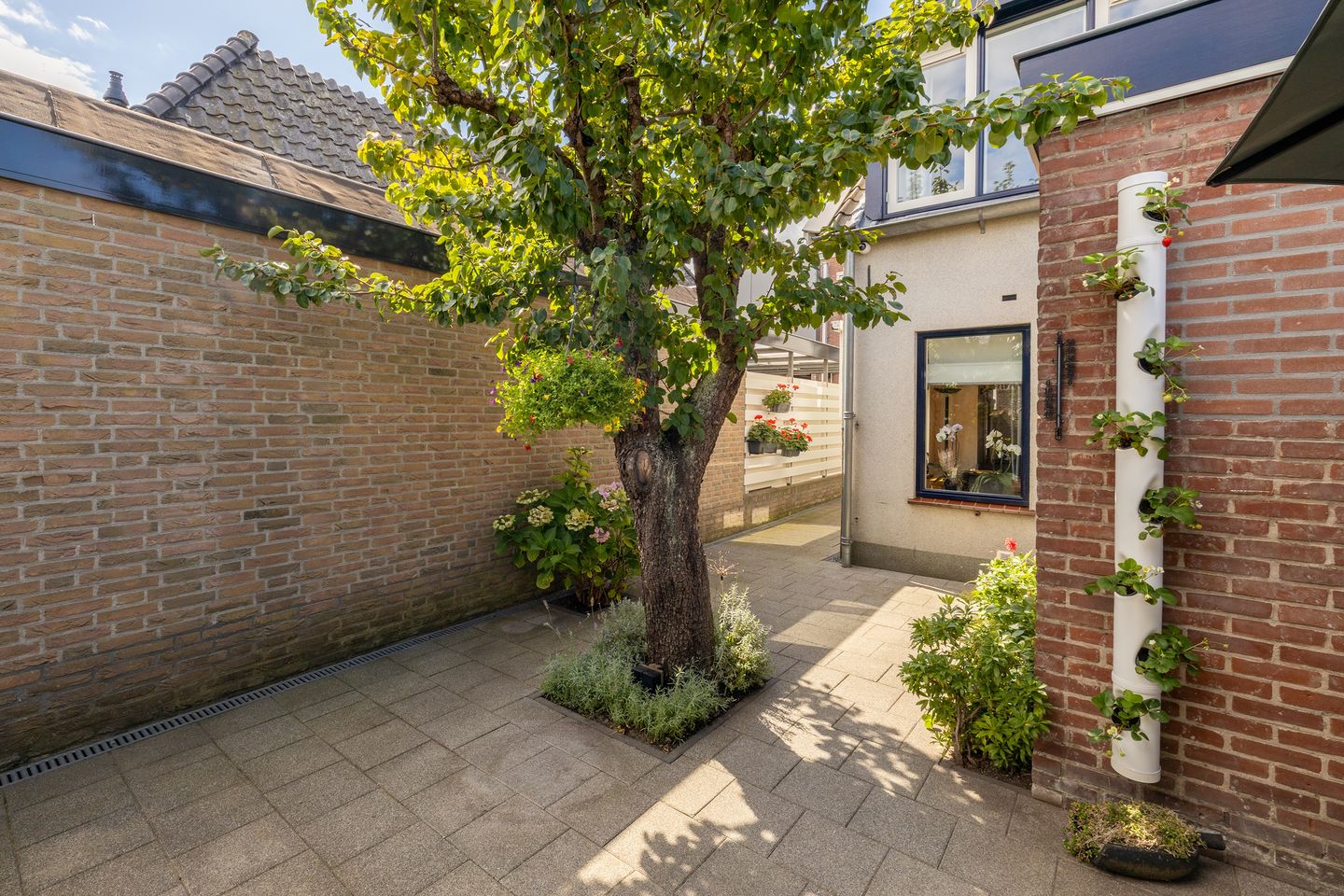 Photo 50 of Westersteeg 12