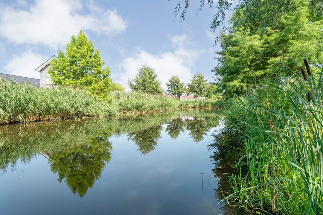 Foto 37 van Dingshoflaan 86