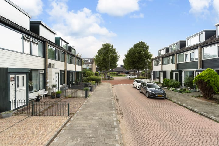 Foto 34 van Da Costastraat 117