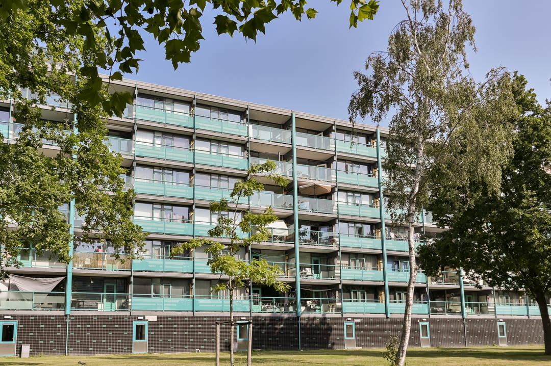 Foto 1 van Dennenschans 54