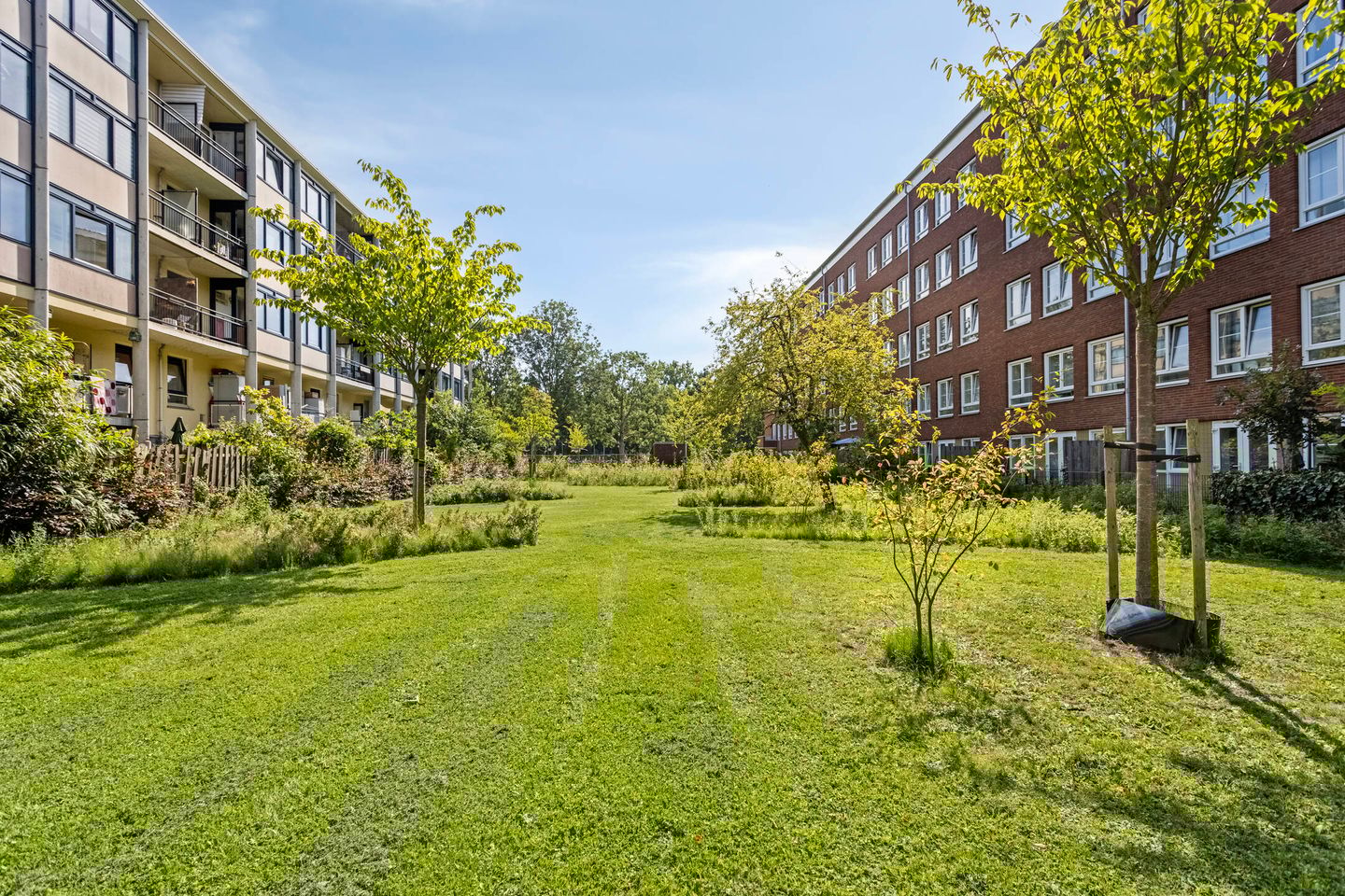 Foto 25 van Dirk Bonsstraat 24-H