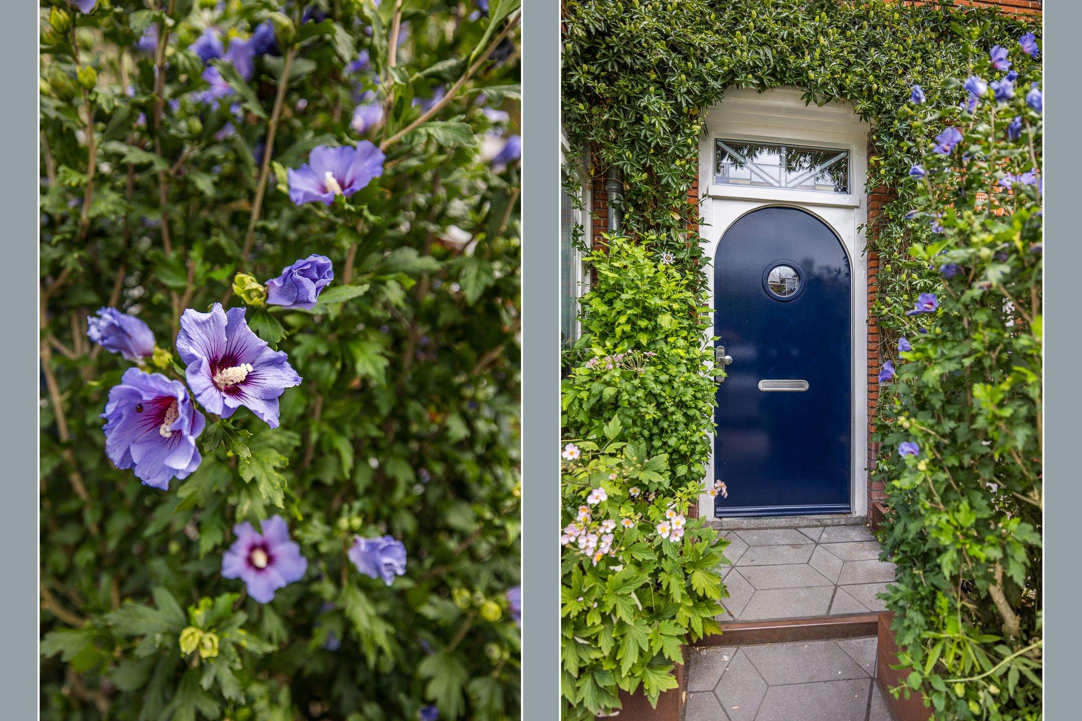 Foto 9 van Julianaweg 124