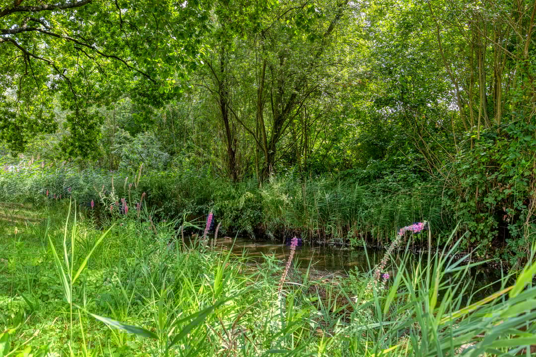 Foto 26 van Molenslag 103