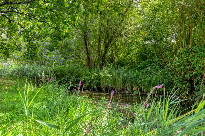 Foto 26 van Molenslag 103