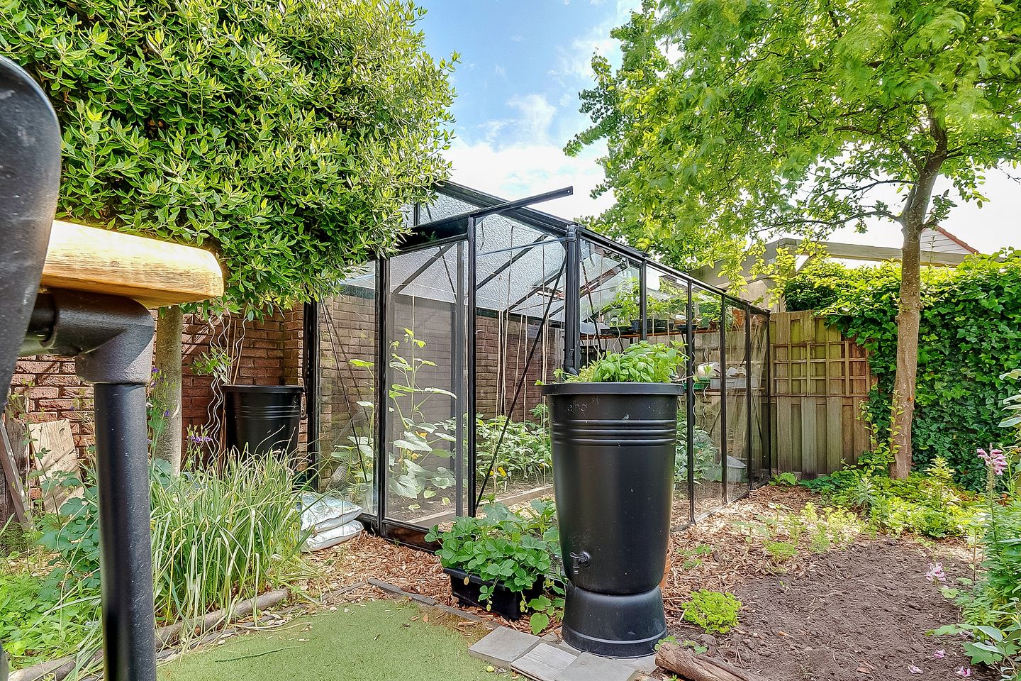 Foto 35 van Mazurka 5