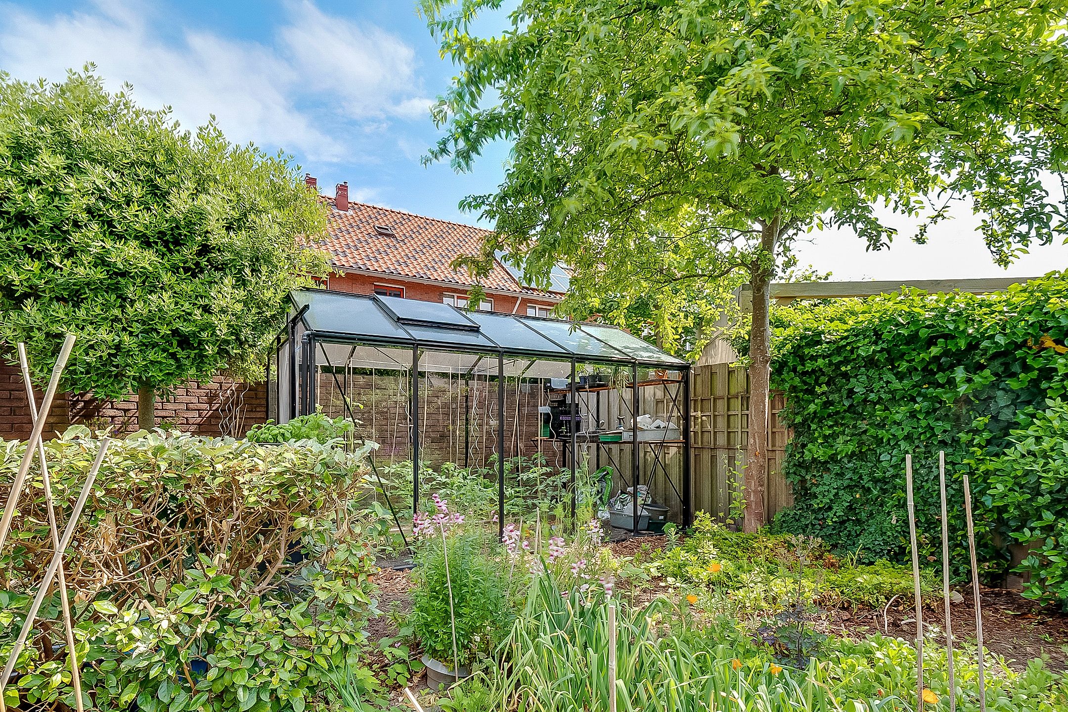 Foto 36 van Mazurka 5