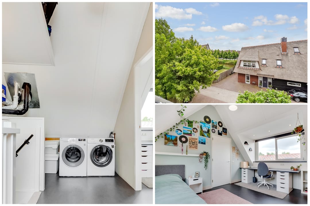 Foto 56 van Mazurka 5