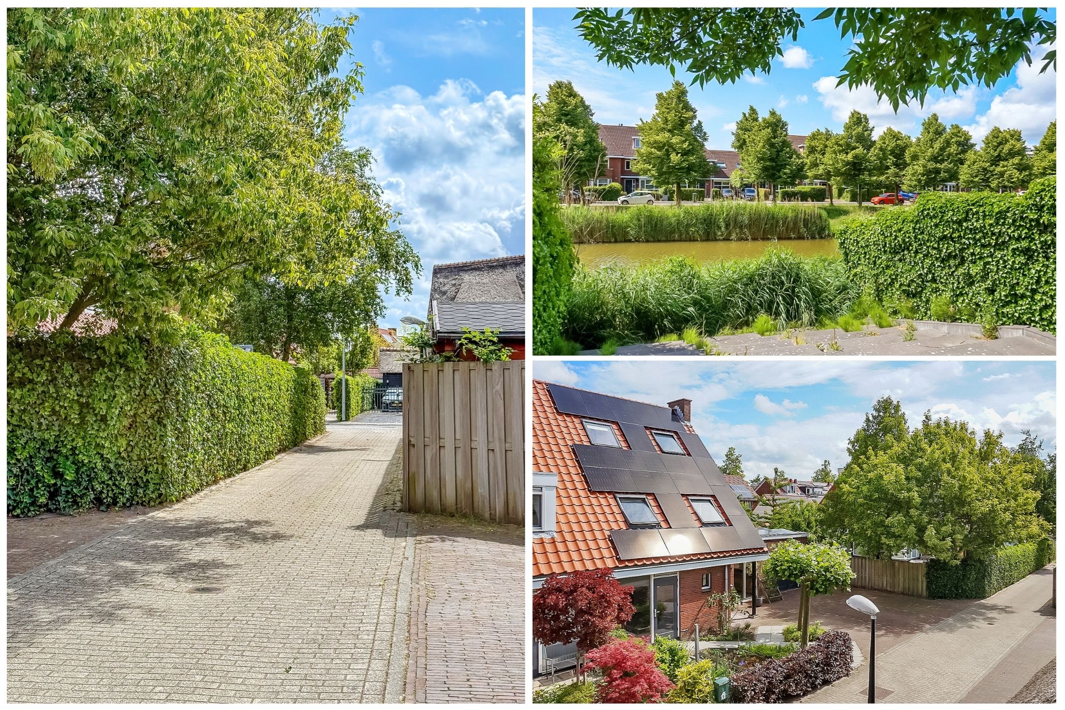 Foto 60 van Mazurka 5