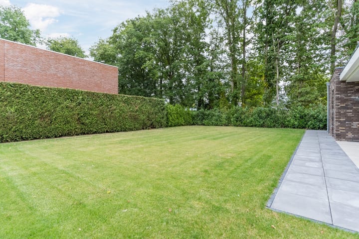 Photo 51 of De Wijer 25