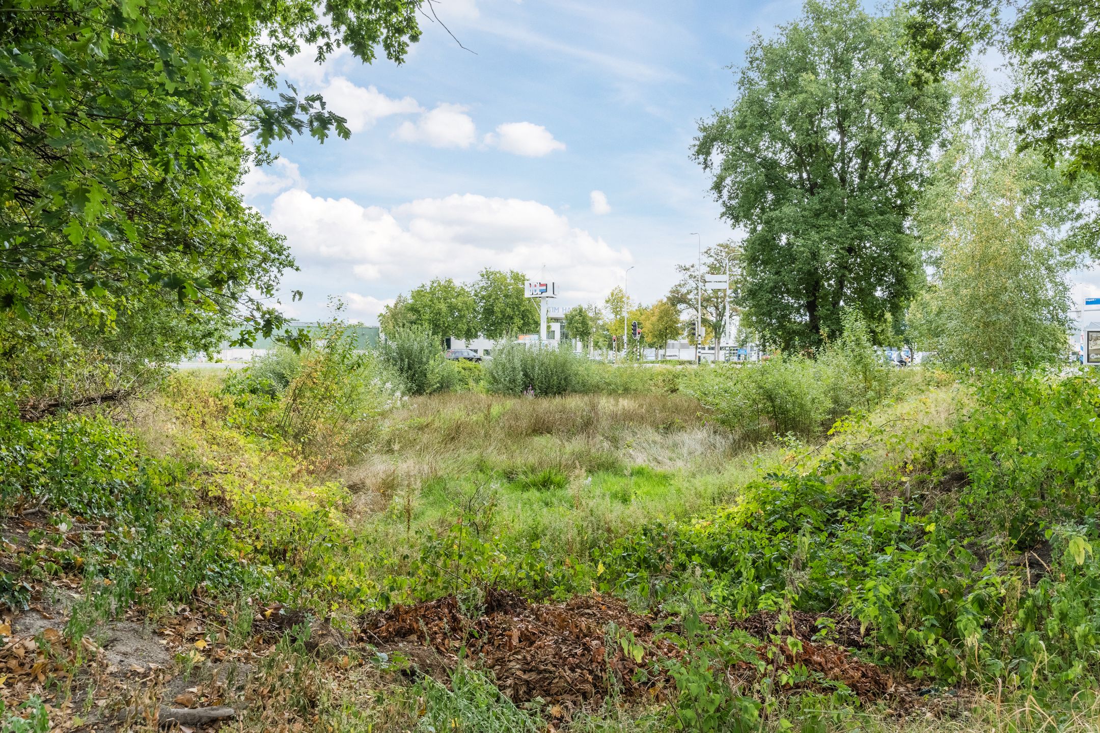 Photo 57 of De Wijer 25