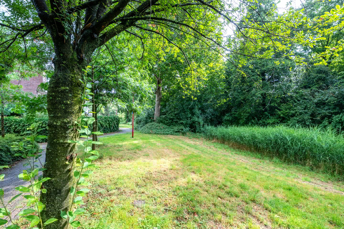 Foto 70 van Rondasburg 5