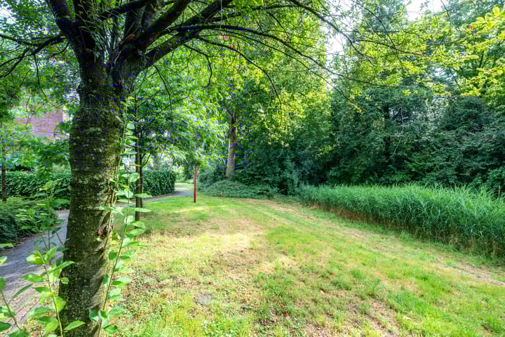 Foto 70 van Rondasburg 5