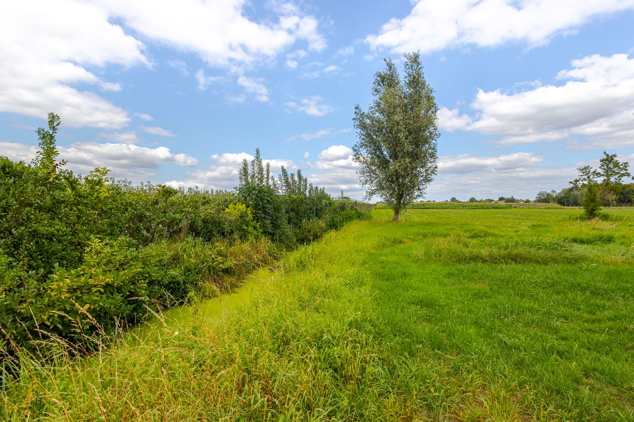 Foto 33 van Dokter A. Booijstraat 45