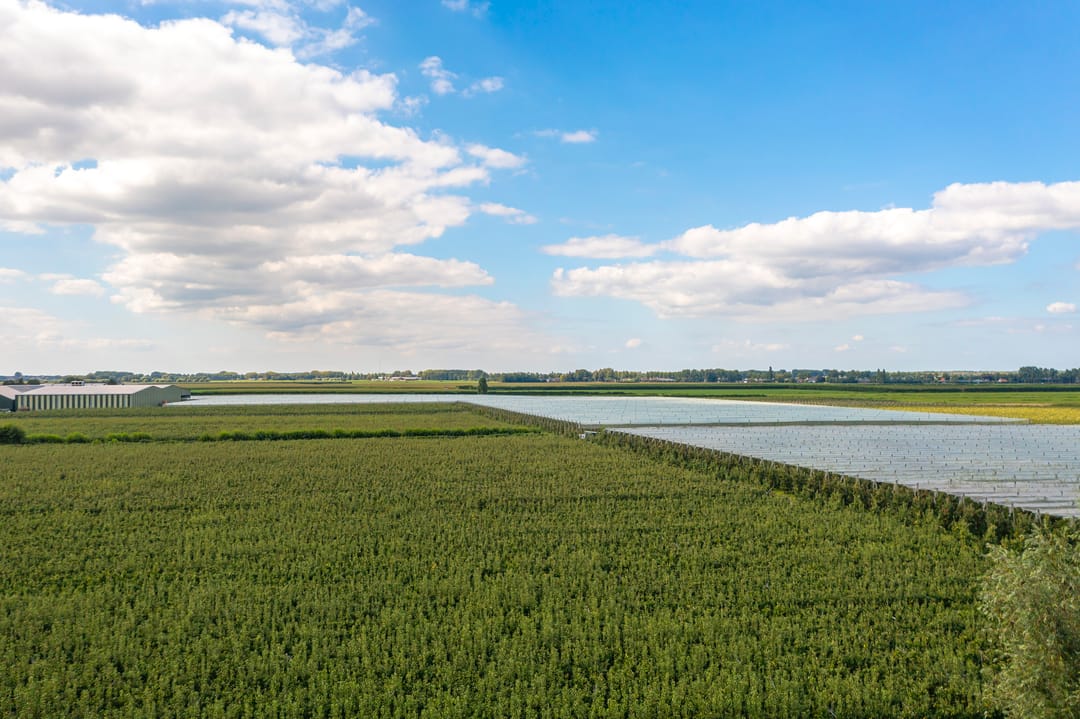 Foto 37 van Dokter A. Booijstraat 45