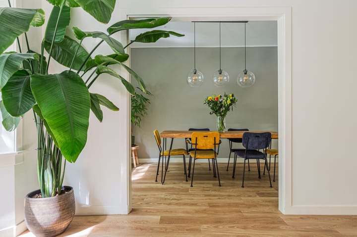 Foto 2 van Westlandgracht 107-3