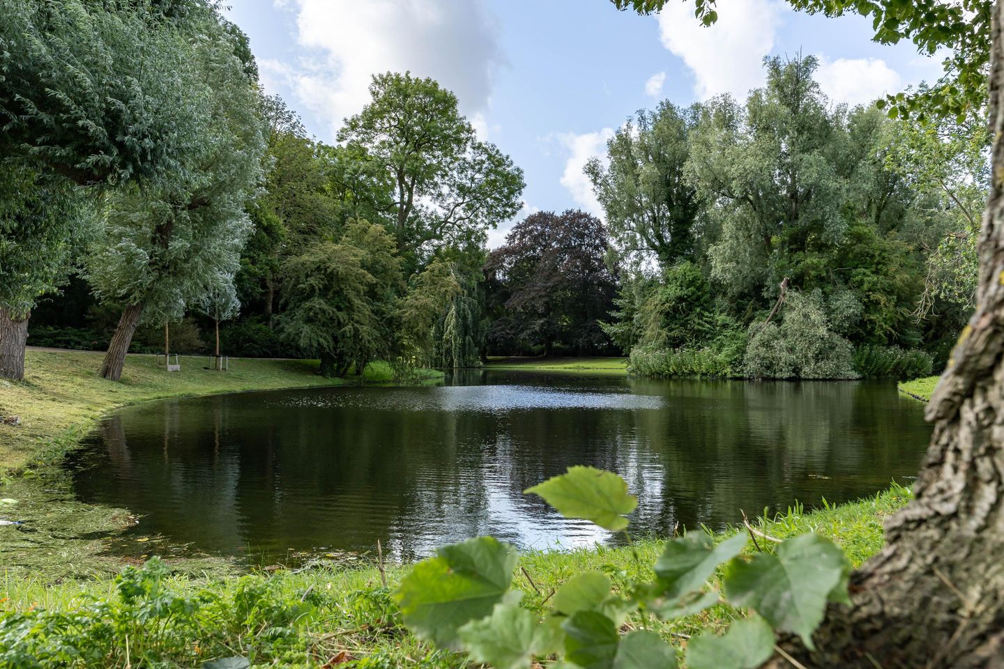 Foto 19 van Koninginnelaan 70