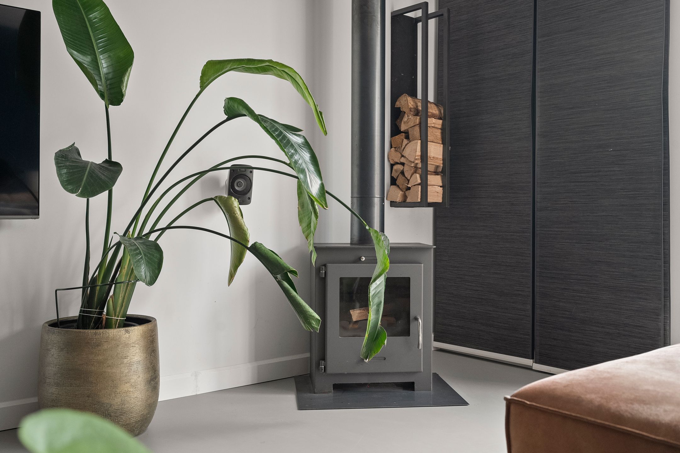 Foto 12 van Wolfpad 38