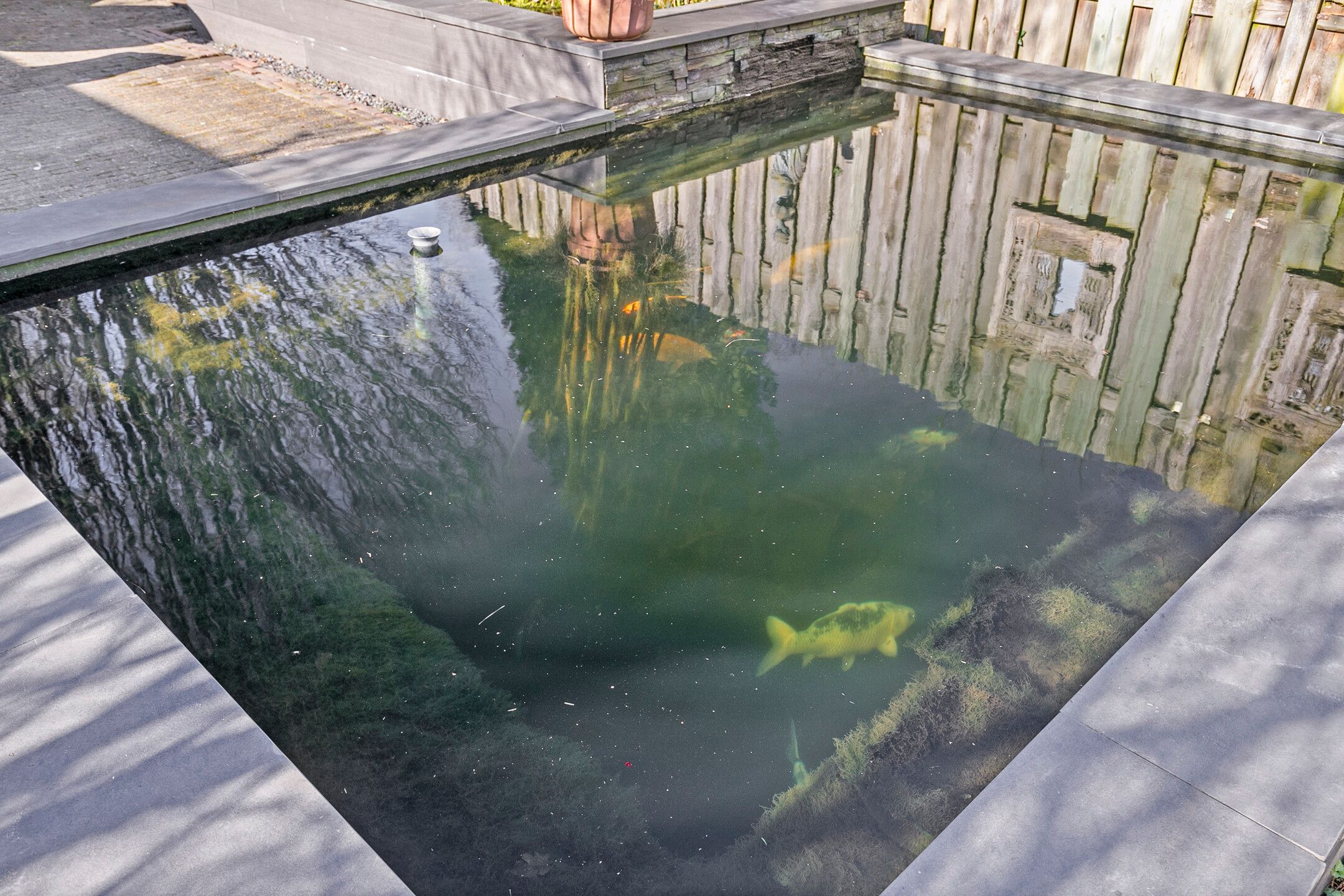 Foto 24 van Lijmbeekstraat 154