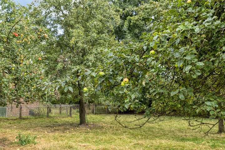 Foto 39 van Wencopperweg 47