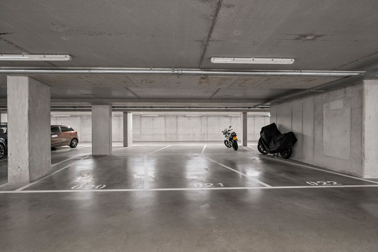 Foto 40 van Wolfpad 38